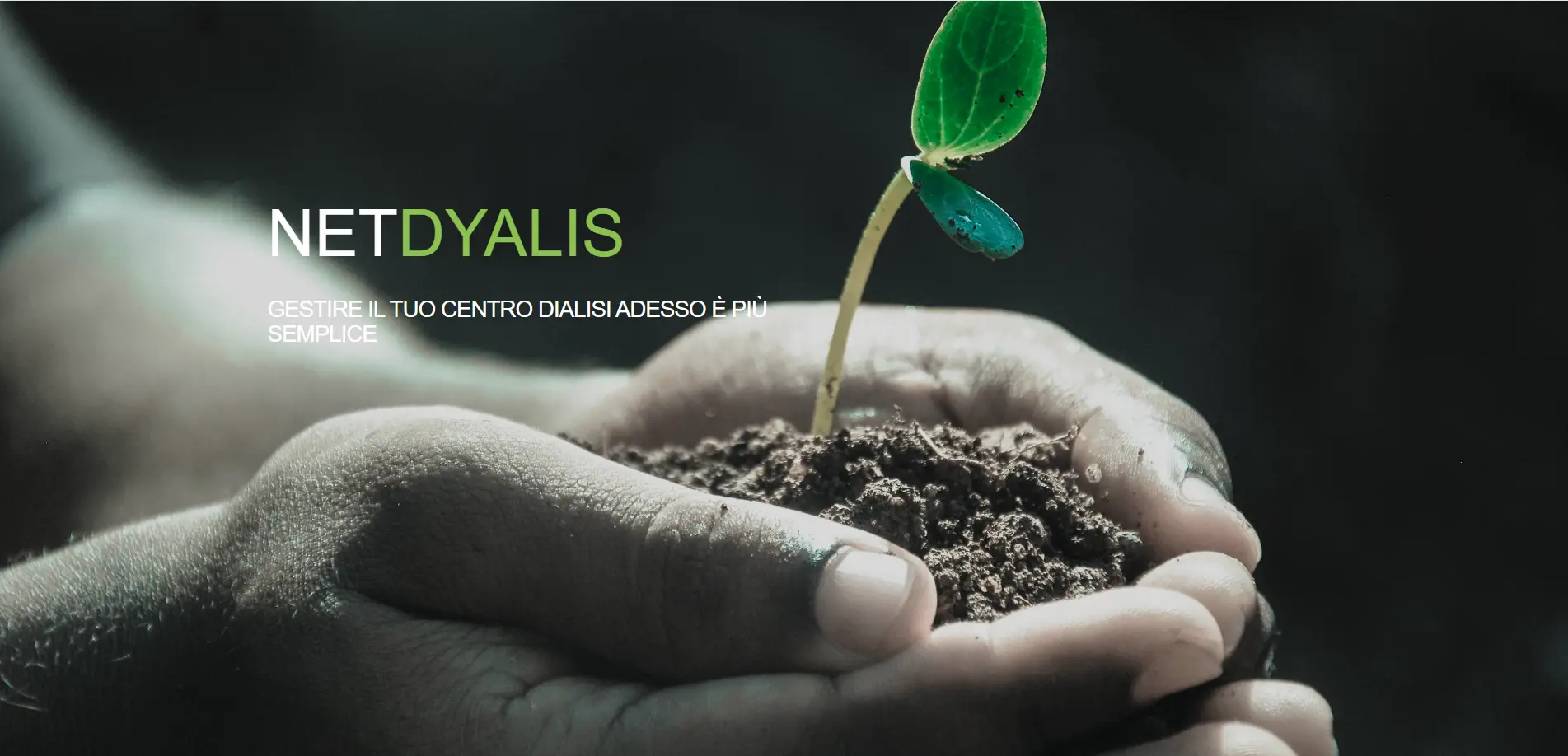 Anteprima del progetto NetDyalis